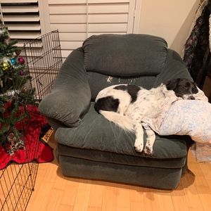 Meet your posher, Selena